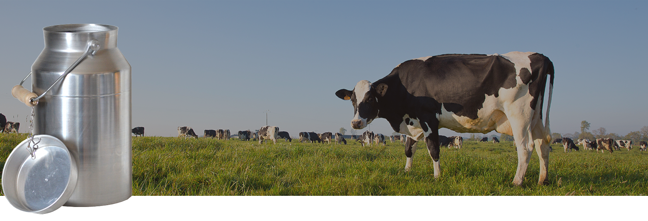 Un savoir faire depuis plusieurs générations  fabricants d'articles destinés à l'élevage, la traite et la filtration du lait depuis 1953